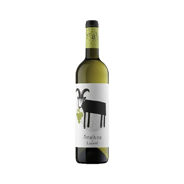 Amaltea Blanc