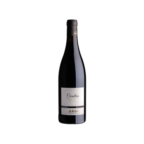 Corullón Vino de Villa